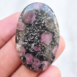 May include: An oval gemstone with a polished surface. The stone has a speckled black and grey base with embedded, round, deep pink ruby crystals. The gemstone is held in a hand.