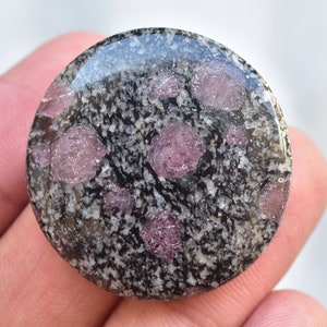 Peut inclure: Une pierre précieuse ronde et polie, avec un fond moucheté gris foncé et blanc. Plusieurs grands cristaux ronds, rose-violet, y sont incrustés. La pierre a une surface brillante et réfléchissante, et est tenue dans une main.