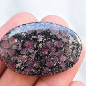 Op de afbeelding: Een ovaalvormige gepolijste edelsteen cabochon met een donkerzwarte matrix ingebed met talrijke afgeronde, diep magenta en paars getinte minerale insluitingen over het hele oppervlak, wat zorgt voor een contrastrijk gespikkeld uiterlijk.