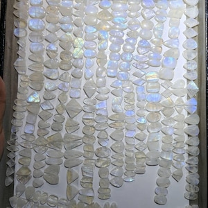 May include: A large collection of polished moonstone cabochons arranged in rows. These translucent, white gemstones feature a smooth, rounded surface and exhibit a distinct iridescent blue adularescence when light hits their faceted or domed tops.