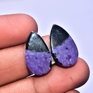 May include: Two teardrop-shaped gemstones, each with a black top and a vibrant purple lower section. The gemstones are held in a hand, showcasing their polished surfaces and unique color contrast. The purple section has dark spots.