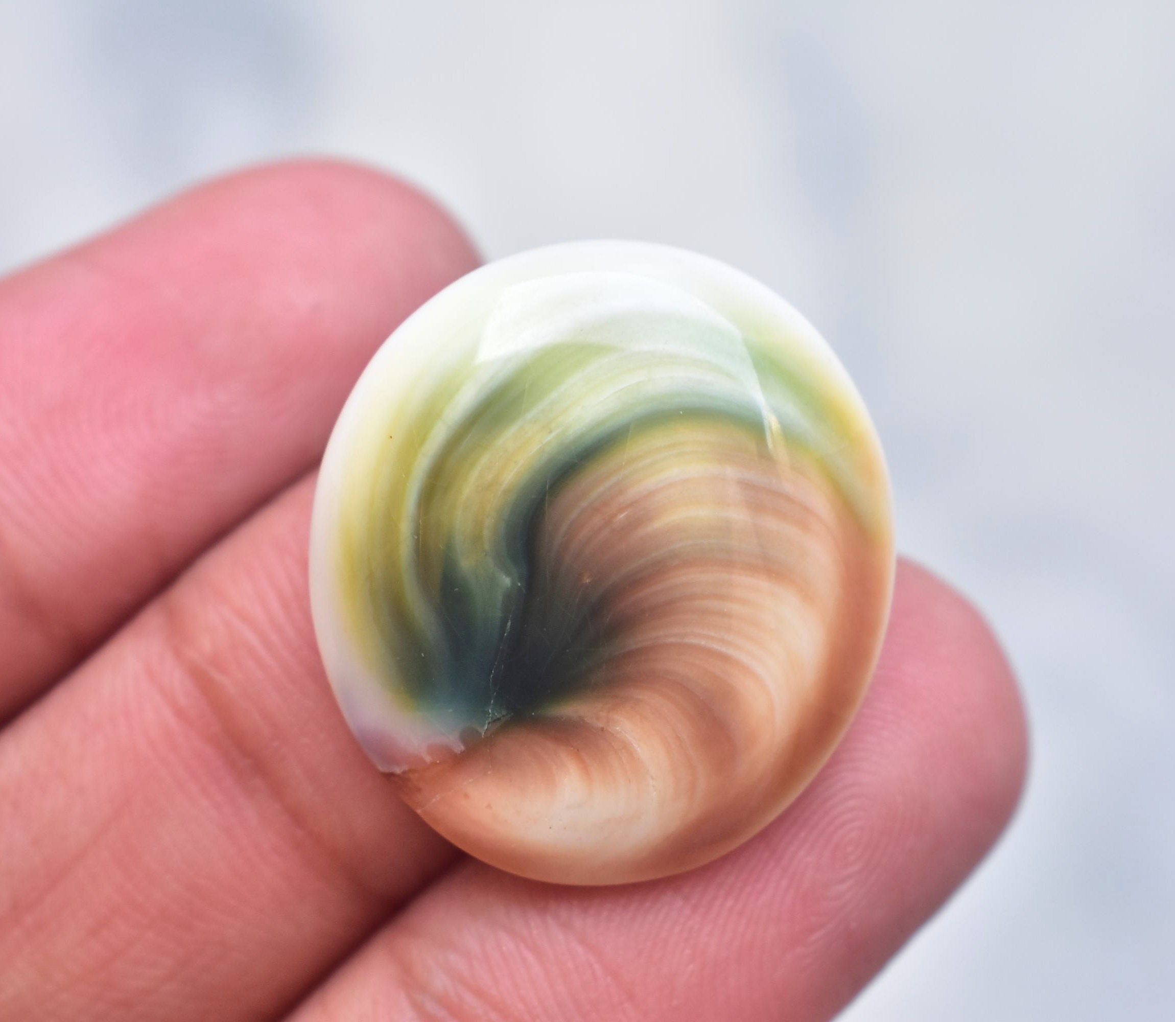 Shiva Eye Shell Cabochon Shiva Eye Shell Gemstone Freeform Shape 35.55 Ct Loose Gemstone I-98 27X25X8 mm Shiva Eye Shell Cabochon Shiva Eye Shell Gemstone Freeform Shape 35.55 Ct Loose Gemstone I-98 27X25X8 mm