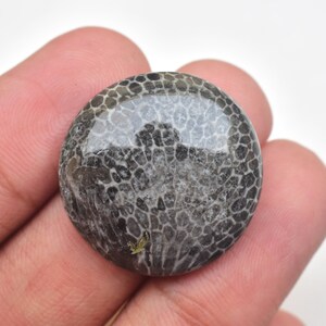 May include: A circular, polished cabochon stone featuring a dark gray and black honeycomb-like fossilized coral pattern. The surface is smooth and reflective, displaying intricate organic cellular structures throughout the entire round gemstone.