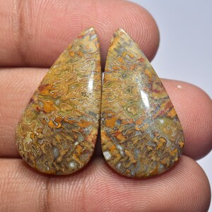 May include: Two teardrop-shaped cabochons featuring a complex, swirling pattern of earthy tones including ochre, brown, tan, and muted green. The polished surfaces exhibit a glossy finish with intricate, organic, web-like textures throughout.