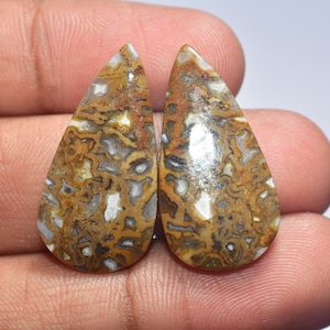 May include: Two teardrop-shaped polished gemstones. The stones feature a complex pattern of brown, tan, white, and gray colors. The intricate veining and patterns create a unique and natural appearance. These stones are likely used for jewelry or decorative purposes.
