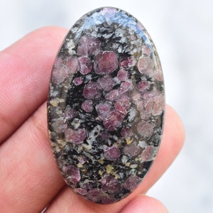 May include: An oval-shaped gemstone with a polished surface. The stone features a speckled pattern of deep red and pink crystals set against a black and gray matrix. The gemstone is held in a hand.