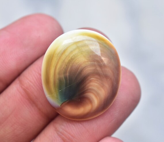 Shiva Eye Shell Cabochon Shiva Eye Shell Gemstone Freeform Shape 35.55 Ct Loose Gemstone I-98 27X25X8 mm Shiva Eye Shell Cabochon Shiva Eye Shell Gemstone Freeform Shape 35.55 Ct Loose Gemstone I-98 27X25X8 mm