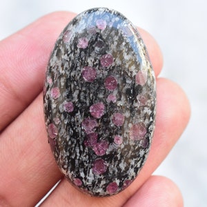 May include: An oval-shaped cabochon gemstone featuring a polished surface with a dark black and white mottled matrix. The stone is embedded with numerous small, translucent, circular, and irregular magenta-pink inclusions scattered throughout the surface.