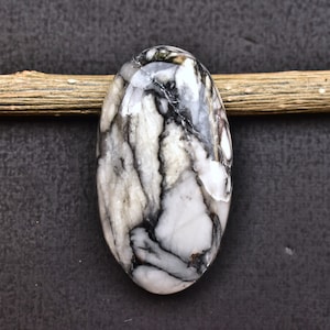 May include: An oval-shaped gemstone with a polished, glossy surface. The stone features a striking pattern of black and white veining, creating a marbled effect. The gemstone is set against a dark background and a wooden stick.