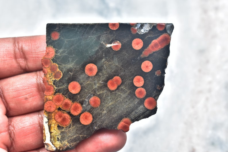 May include: A piece of polished stone with a dark gray base color and a pattern of red, circular spots. The stone has a rough, irregular shape and a mix of colors, including orange and white.