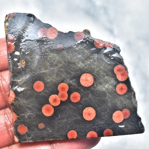 May include: A dark gray stone slab with numerous red, circular patterns. The stone has a rough, uneven edge and a textured surface. The red patterns are evenly distributed across the stone's surface, creating a striking contrast.