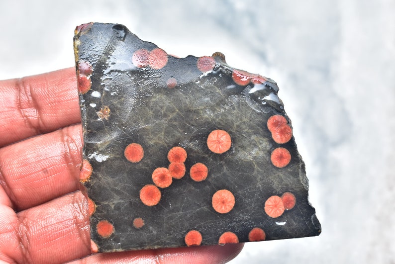 May include: A dark gray stone slab with numerous red, circular patterns. The stone has a rough, uneven edge and a textured surface. The red patterns are evenly distributed across the stone's surface, creating a striking contrast.