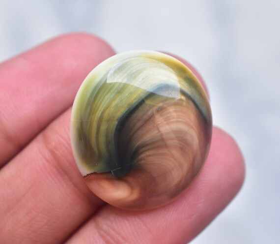 Shiva Eye Shell Cabochon Shiva Eye Shell Gemstone Freeform Shape 35.55 Ct Loose Gemstone I-98 27X25X8 mm Shiva Eye Shell Cabochon Shiva Eye Shell Gemstone Freeform Shape 35.55 Ct Loose Gemstone I-98 27X25X8 mm
