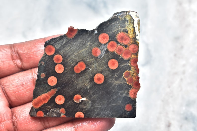 May include: A piece of polished stone with a dark gray base color and numerous red, circular patterns. The stone has a rough, uneven edge and a natural, organic appearance. The red patterns vary in size and are evenly distributed across the surface.