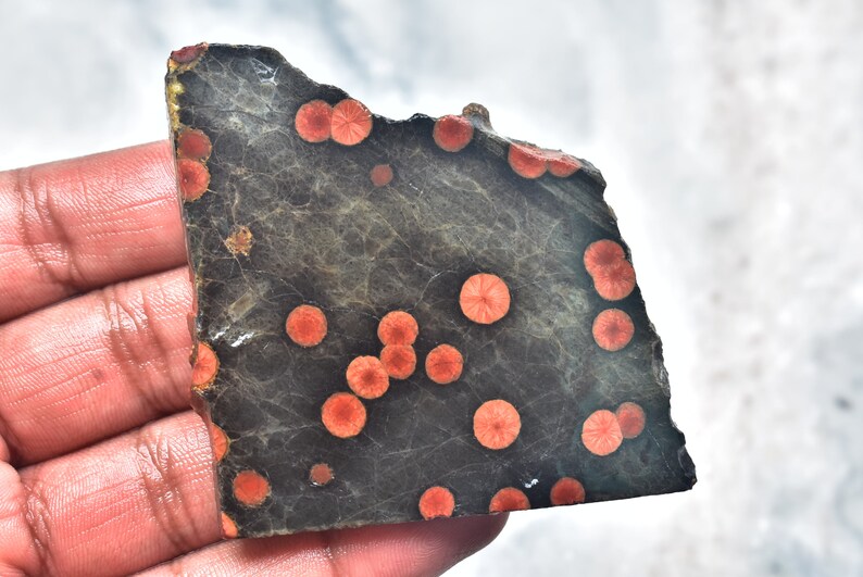 May include: A dark gray stone slab with numerous orange, circular patterns. The stone has a rough, uneven edge and a textured surface. The orange patterns are evenly distributed across the stone's surface, creating a striking contrast.