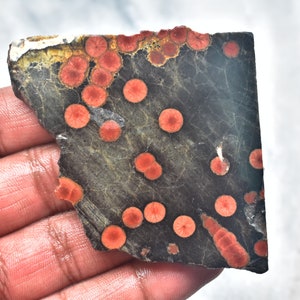May include: A dark gray stone slab with a rough edge, featuring numerous red circular patterns. The stone has a textured surface and a natural, organic appearance. The red circles vary in size and are evenly distributed across the surface.