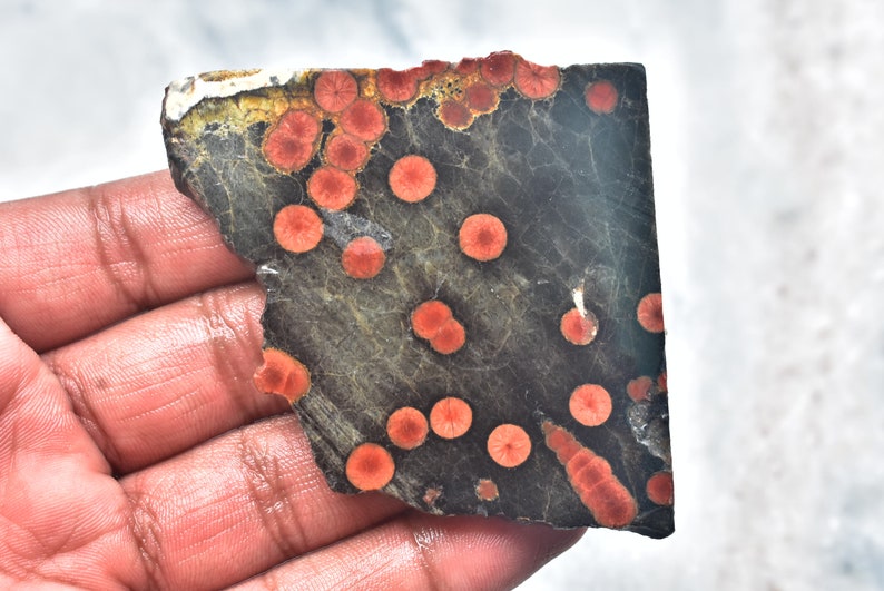 May include: A dark gray stone slab with a rough edge, featuring numerous red circular patterns. The stone has a textured surface and a natural, organic appearance. The red circles vary in size and are evenly distributed across the surface.