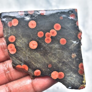 May include: A dark, irregularly shaped stone slab with a pattern of orange, circular spots. The stone has a dark gray base color with lighter gray veining. The surface appears slightly wet.