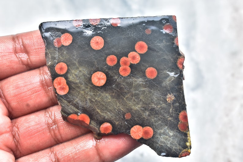 May include: A dark, irregularly shaped stone slab with a pattern of orange, circular spots. The stone has a dark gray base color with lighter gray veining. The surface appears slightly wet.