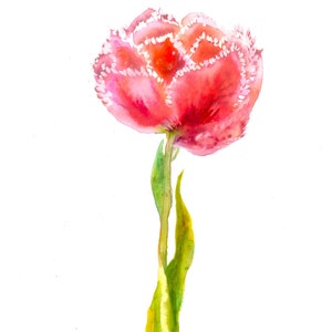 Pink Tulip Flower Downloadable print Instant download Tulip print