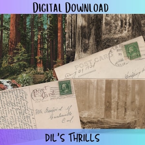 Postales vintage imprimibles - Cartas escritas a mano - California Redwood - 1930s - Mixed Media Junk Journal Ephemera Craft Supply Descargar