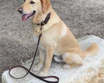 Laisse pour chien, Laisse en cuir, Laisse pour chien en cuir, Laisse brune ou noire, 4 pieds, 5 pieds, 6 pieds Laisse pour chien, Amish fait main, fabriqué aux États-Unis