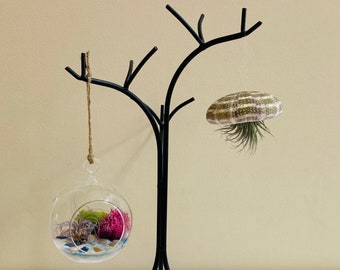May include: A black metal stand with two glass globes hanging from it. The globes contain air plants and decorative elements. A dried sea urchin is also hanging from the stand.