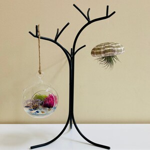 Air Plant Holder | Rustic Home Decor | Succulent Hanger | Hanging Plant Stand | Black Hand Forged Wrought Iron