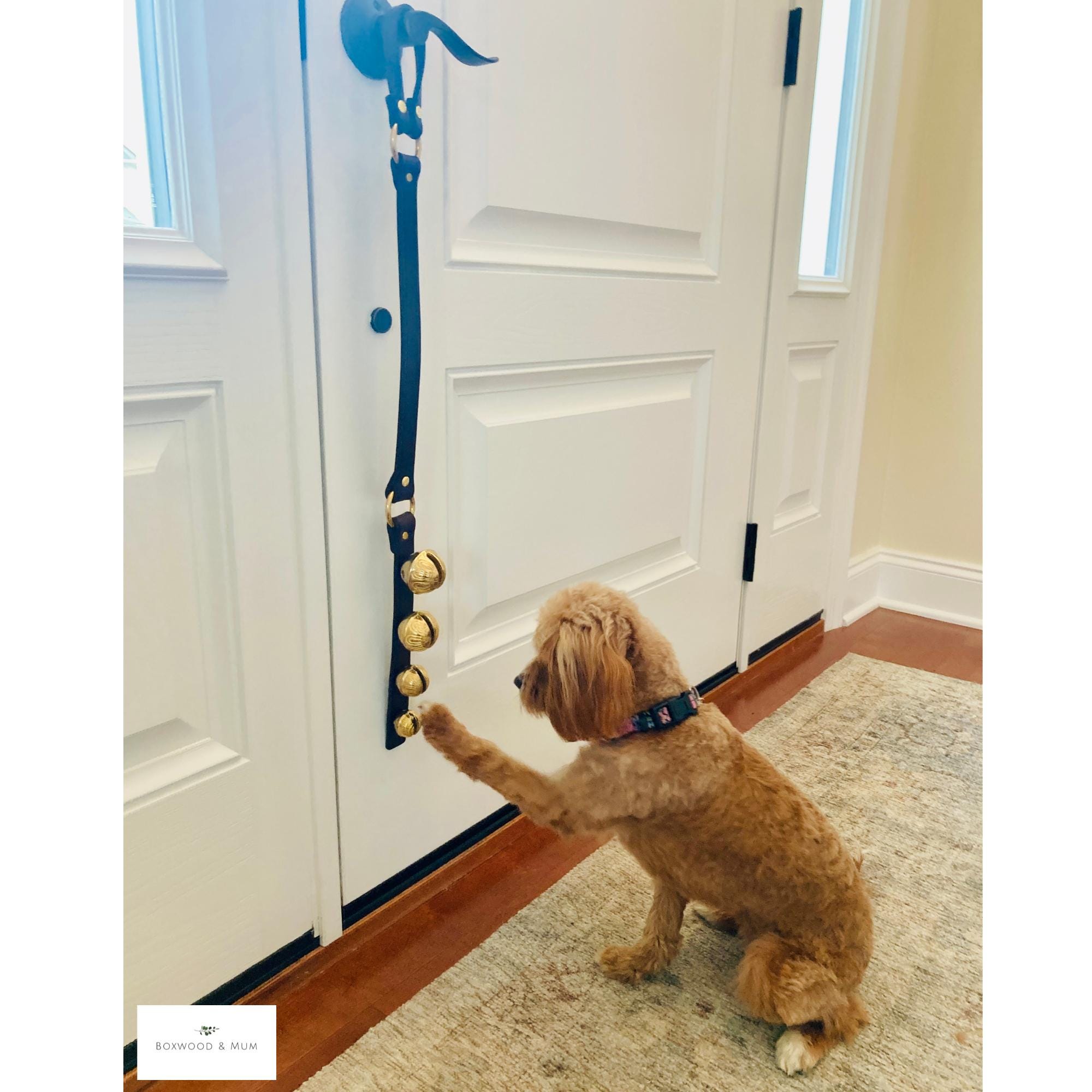 Best Dog Doorbell For Outdoors Caldwell's Pet Supply Dog Potty