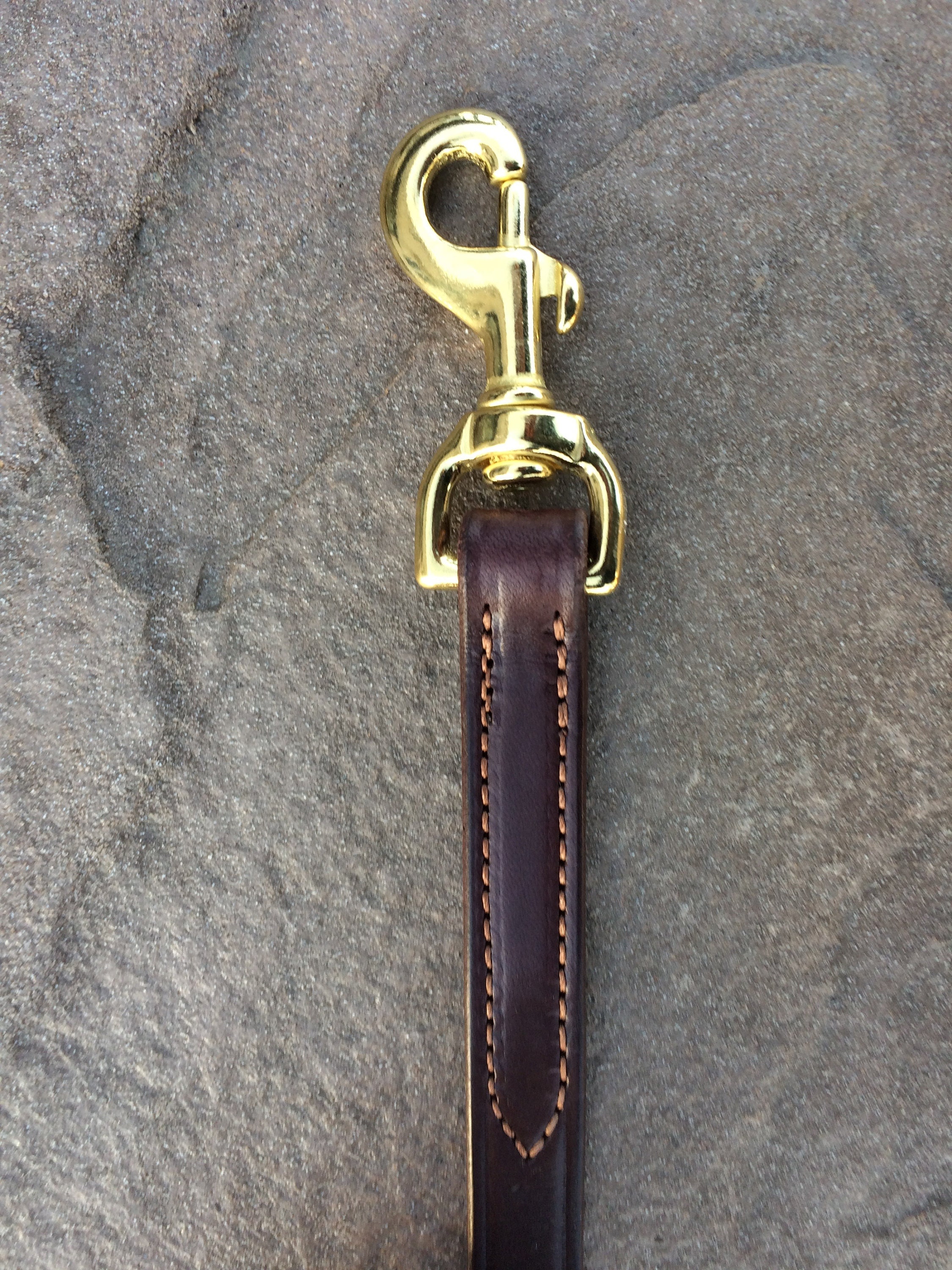 BRIDLE LEATHER DOG LEASH main image 1
