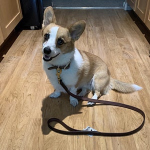 BRIDLE LEATHER DOG LEASH