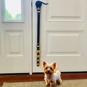 May include: A black leather dog door bell with gold bells hangs on a white door. A small, light brown and white dog stands in front of the door.