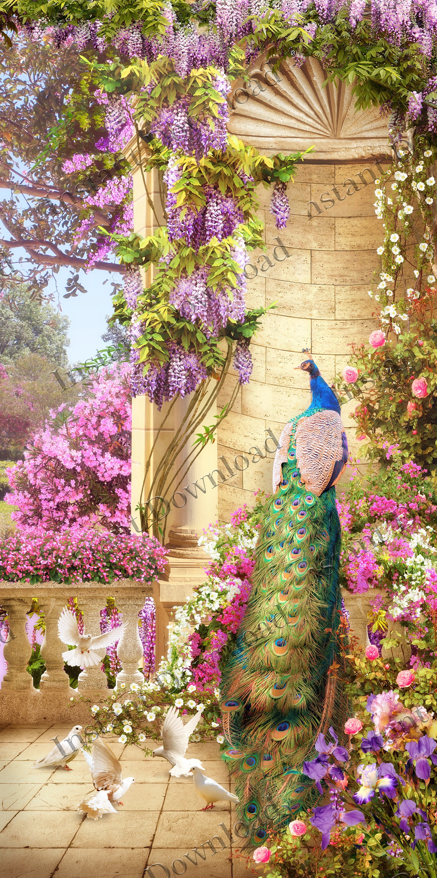 Peacock Print, Vintage Peacock, Printable Wall Art, Bird Prints ...