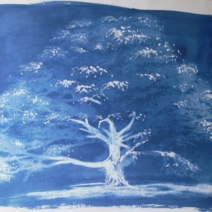 Cyanotype &quot;the old cedar&quot;