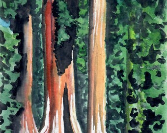 California Landscape Impressionist Watercolor Painting Peaceful Redwood Forest Grove