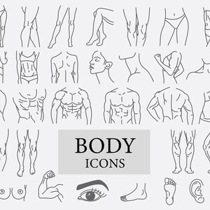 May include: A set of line art illustrations depicting various parts of the human body, including legs, arms, torso, face, and feet. The illustrations are in black and white and are labeled "BODY ICONS".
