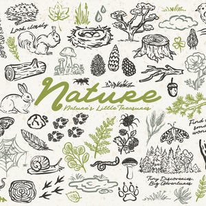May include: A collection of hand-drawn nature-themed illustrations in black and green on a textured background. Includes a squirrel, rabbit, butterfly, bird, tree, mushrooms, and the word "Nature". Additional text reads "Look closely", "Nature's Little Treasures", "Find one small wonder", and "Tiny Discoveries, Big Adventures".