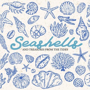 Puede incluir: Ilustración en tinta azul de varias conchas marinas, estrellas de mar y corales sobre un fondo texturizado blanquecino. El texto "Seashells and Treasures from the Tides" está escrito en una fuente cursiva.