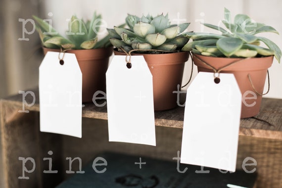 Download Blank Gift Tag Mockup Wedding Favor Tag Mockup Plant Favor Etsy