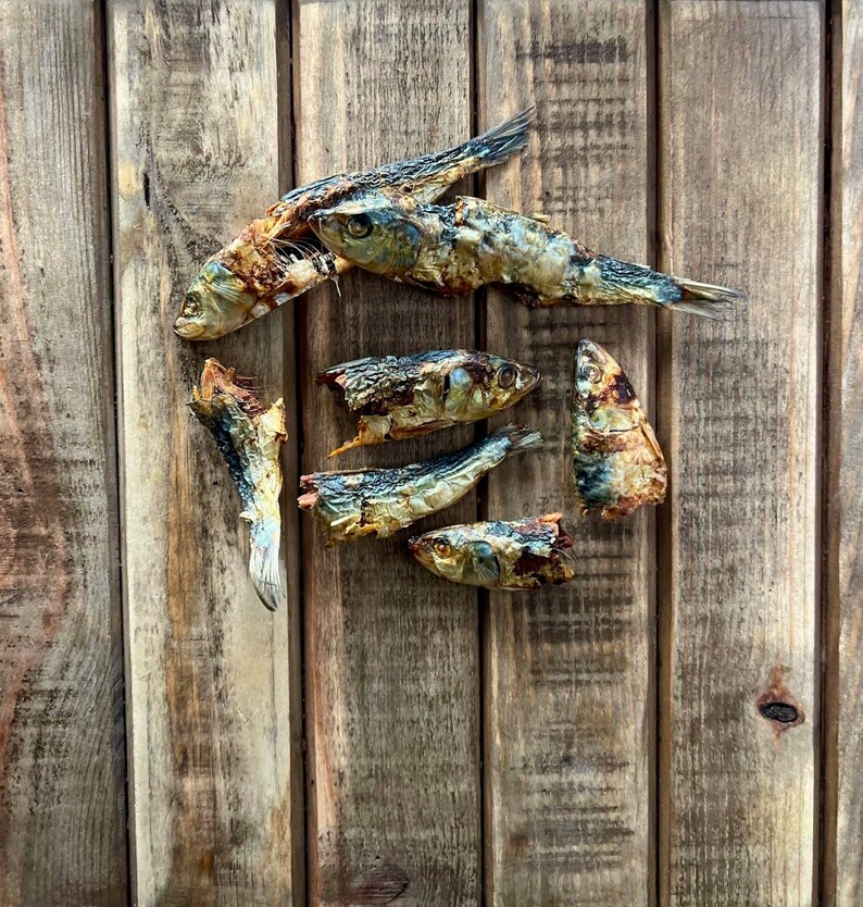 Sardines Whole Wild Caught Fish Dehydrated Dog Cat Treats Healthy