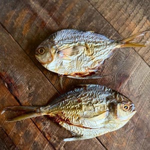 Butterfish Whole Prey Wild Caught Fish 2-Pack  | Dehydrated Dog Cat Treats | Healthy Treats All Natural Fresh Air Dried Dog Deli