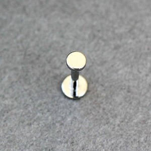 Flat Disc Tragus Ring/Cartilage Ring/ Flat Back