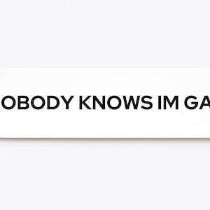 Nobody Knows I&#39;m Gay Bumper Sticker Queer LGBTQ Funny