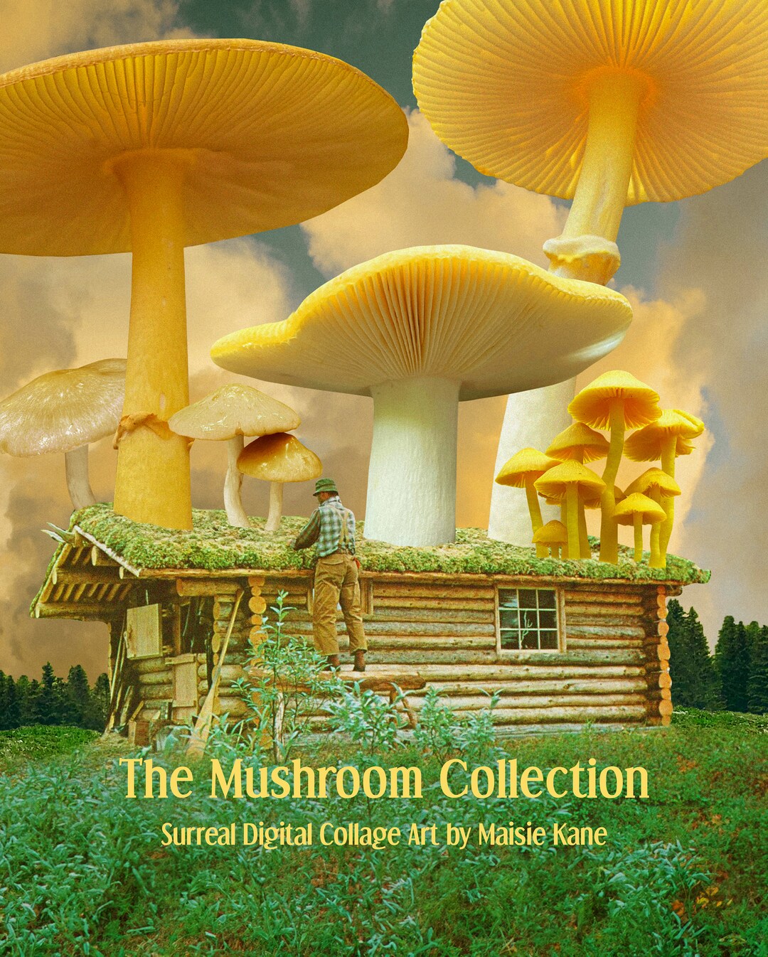 The Mushroom Collection Hardcover Photo Book Etsy