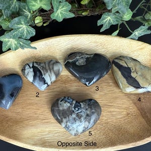 May include: Five heart-shaped stones with unique patterns and colors, displayed on a wooden tray. The stones vary in shades of gray, black, and beige. The tray is surrounded by green foliage.