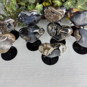May include: A collection of heart-shaped stones in various colors, including gray, brown, and black, displayed on black stands. The stones have unique patterns and textures, and are arranged on a white surface with greenery in the background.