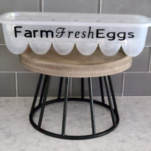FUNNY EGG CARTONS reusable plastic egg cartons fun phrases Rise & Shine Mother Cluckers Laid in the usa Just Got Laid funny egg cartons image 3