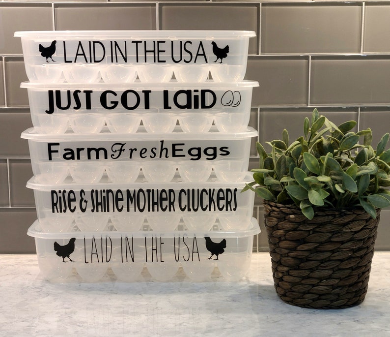 FUNNY EGG CARTONS reusable plastic egg cartons fun phrases Rise & Shine Mother Cluckers Laid in the usa Just Got Laid funny egg cartons image 1