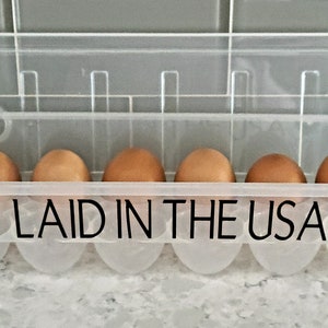 FUNNY EGG CARTONS reusable plastic egg cartons fun phrases Rise & Shine Mother Cluckers Laid in the usa Just Got Laid funny egg cartons image 2