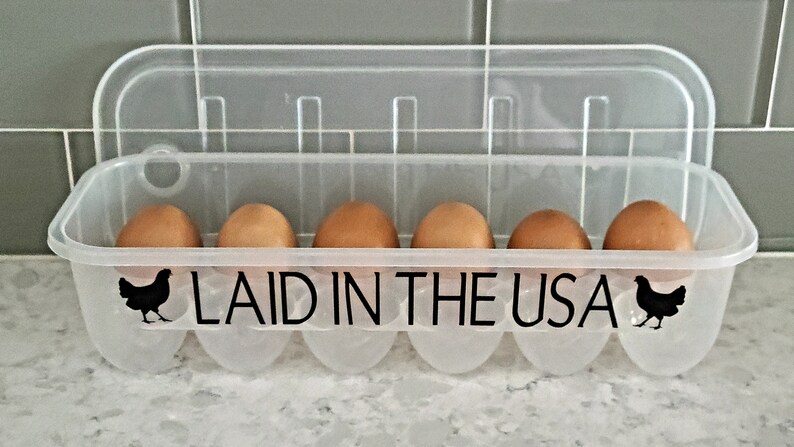 FUNNY EGG CARTONS reusable plastic egg cartons fun phrases Rise & Shine Mother Cluckers Laid in the usa Just Got Laid funny egg cartons image 2